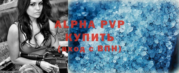 сатива Болхов