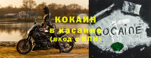 сатива Болхов
