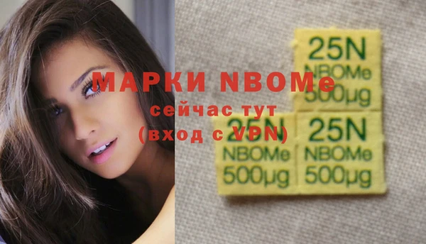 сатива Болхов