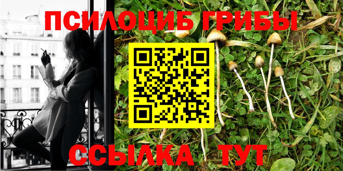 Галлюциногенные грибы GOLDEN TEACHER Балашов