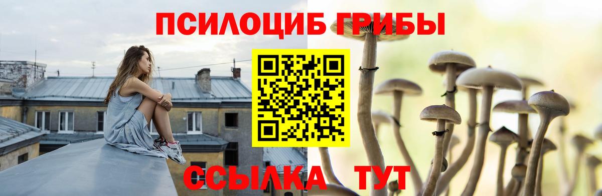 Галлюциногенные грибы прущие грибы  Вход с VPN  Балашов 